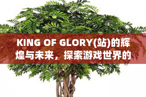 KING OF GLORY(站)的辉煌与未来，探索游戏世界的无限可能