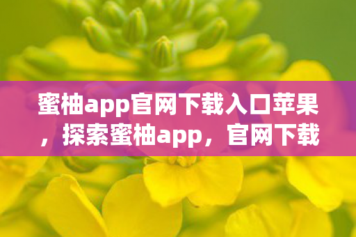 蜜柚app官网下载入口苹果，探索蜜柚app，官网下载入口与独特功能体验
