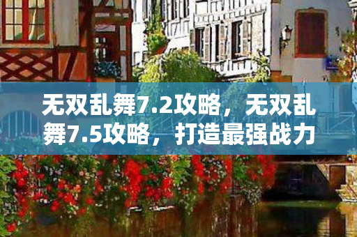 无双乱舞7.2攻略，无双乱舞7.5攻略，打造最强战力的全面指南