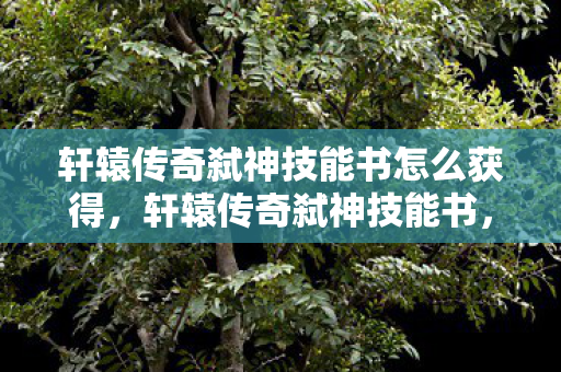 轩辕传奇弑神技能书怎么获得，轩辕传奇弑神技能书，解锁终极战斗力的神秘宝典
