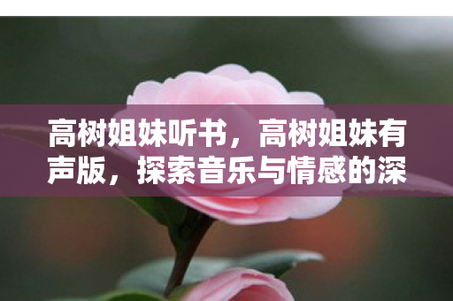 高树姐妹听书，高树姐妹有声版，探索音乐与情感的深度共鸣