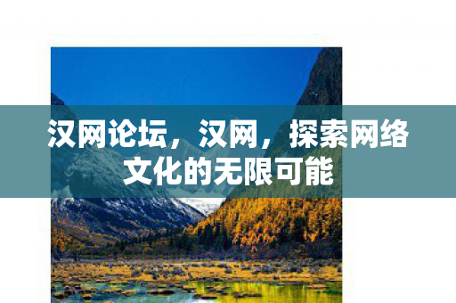 汉网论坛，汉网，探索网络文化的无限可能