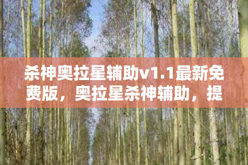 杀神奥拉星辅助v1.1最新免费版，奥拉星杀神辅助，提升游戏体验的得力助手