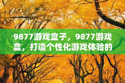 9877游戏盒子，9877游戏盒，打造个性化游戏体验的优选平台