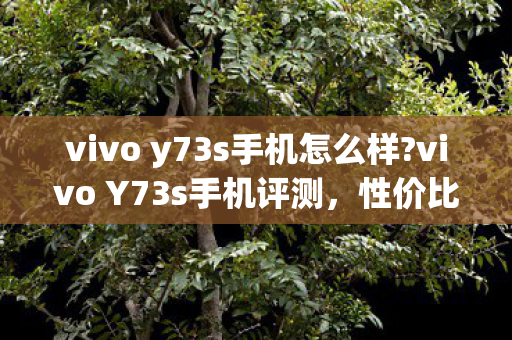 vivo y73s手机怎么样?vivo Y73s手机评测，性价比与实用性的完美结合