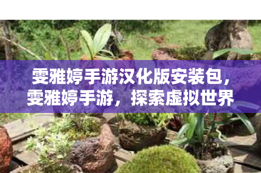雯雅婷手游汉化版安装包，雯雅婷手游，探索虚拟世界的无限可能