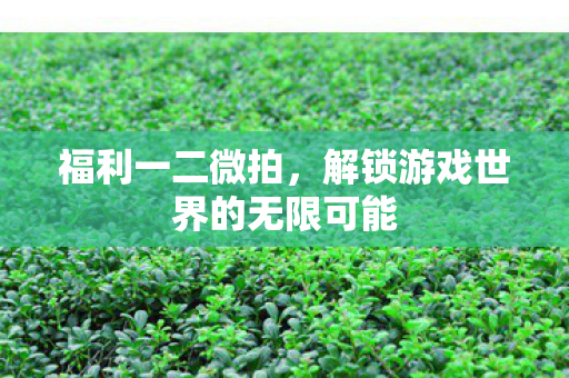 福利一二微拍，解锁游戏世界的无限可能