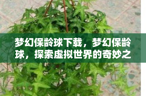梦幻保龄球下载，梦幻保龄球，探索虚拟世界的奇妙之旅