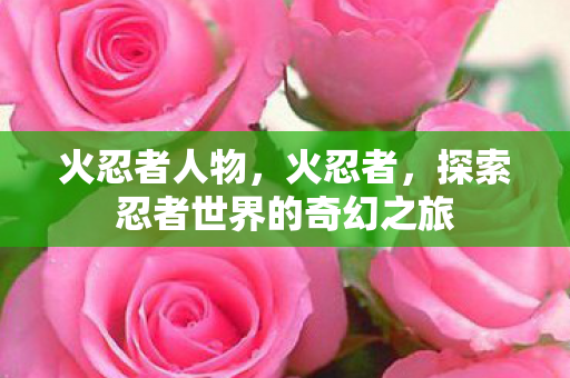 火忍者人物，火忍者，探索忍者世界的奇幻之旅