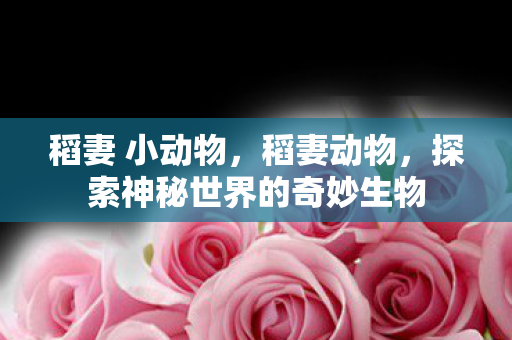稻妻 小动物，稻妻动物，探索神秘世界的奇妙生物