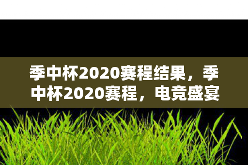 季中杯2020赛程结果，季中杯2020赛程，电竞盛宴的激情与荣耀