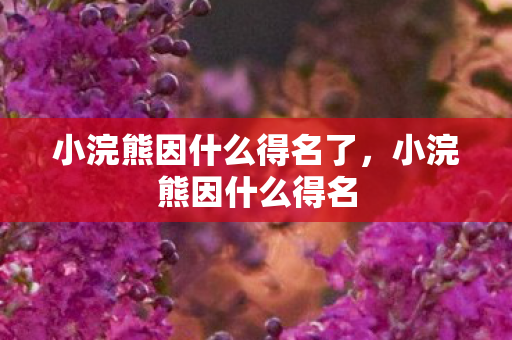 小浣熊因什么得名了，小浣熊因什么得名