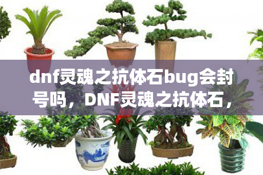 dnf灵魂之抗体石bug会封号吗，DNF灵魂之抗体石，守护阿拉德大陆的神秘力量