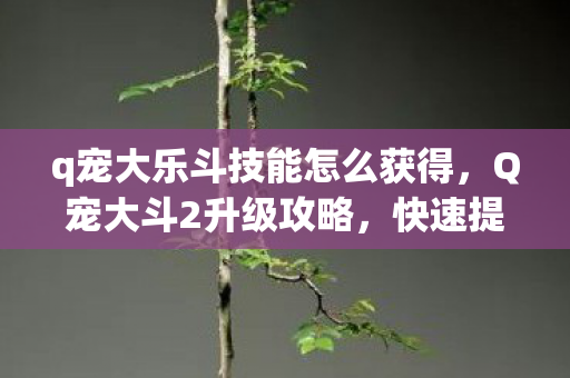 q宠大乐斗技能怎么获得，Q宠大斗2升级攻略，快速提升等级的方法