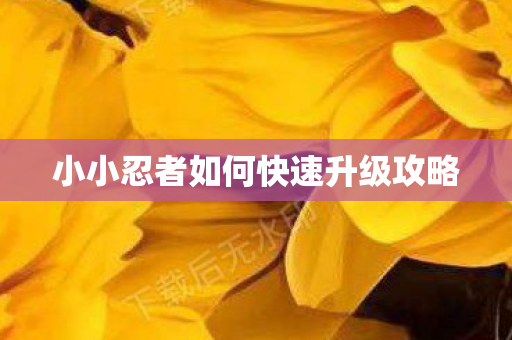 小小忍者如何快速升级攻略