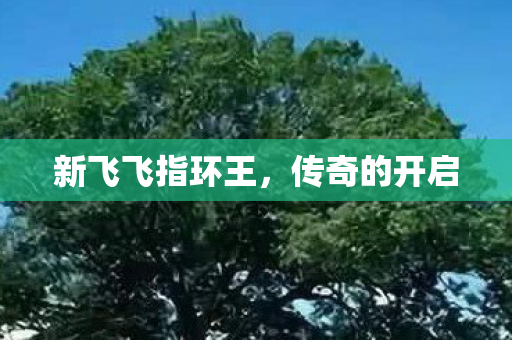 新飞飞指环王，传奇的开启