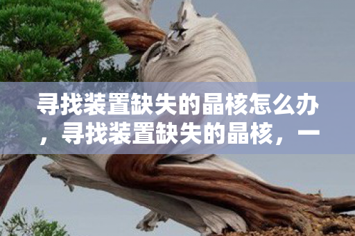 寻找装置缺失的晶核怎么办，寻找装置缺失的晶核，一场科技与奇幻交织的冒险