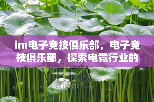 im电子竞技俱乐部，电子竞技俱乐部，探索电竞行业的未来之路