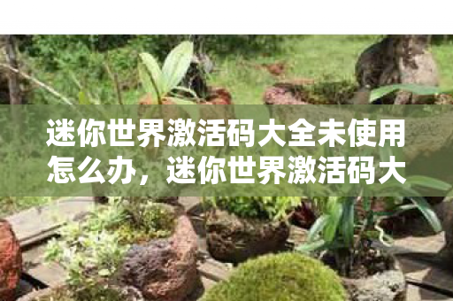 迷你世界激活码大全未使用怎么办，迷你世界激活码大全未使用