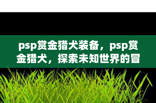 psp赏金猎犬装备，psp赏金猎犬，探索未知世界的冒险之旅