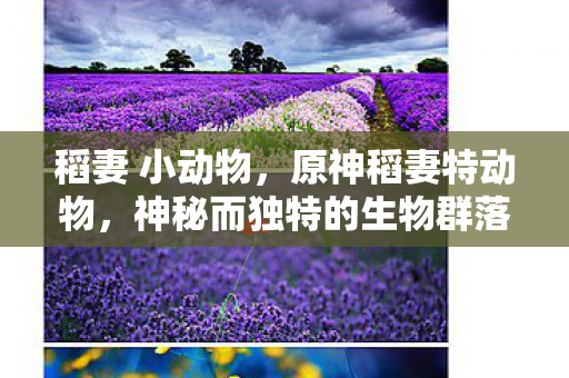 稻妻 小动物，原神稻妻特动物，神秘而独特的生物群落