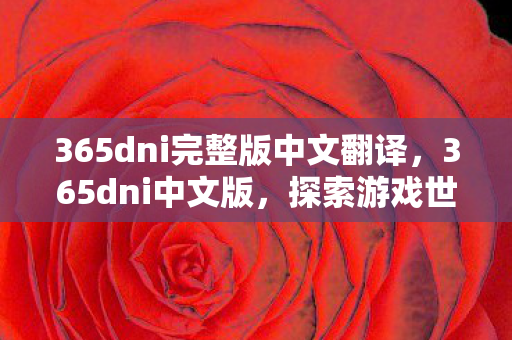 365dni完整版中文翻译，365dni中文版，探索游戏世界的无限可能