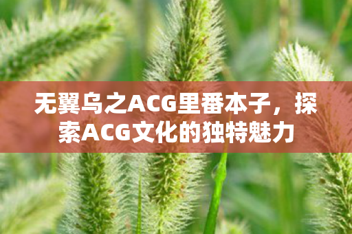 无翼乌之ACG里番本子，探索ACG文化的独特魅力