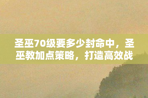 圣巫70级要多少封命中，圣巫教加点策略，打造高效战斗与生存能力