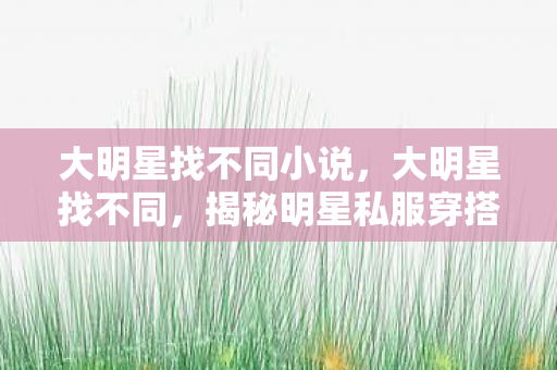 大明星找不同小说，大明星找不同，揭秘明星私服穿搭的独特魅力