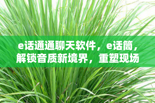 e话通通聊天软件，e话筒，解锁音质新境界，重塑现场体验
