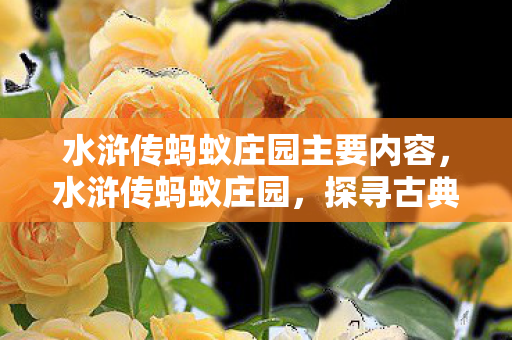 水浒传蚂蚁庄园主要内容，水浒传蚂蚁庄园，探寻古典与现代的奇妙融合