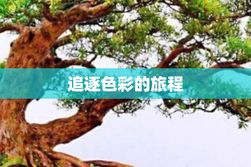 追逐色彩的旅程 追逐色彩的旅程