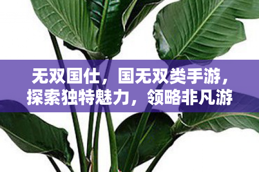 无双国仕，国无双类手游，探索独特魅力，领略非凡游戏体验
