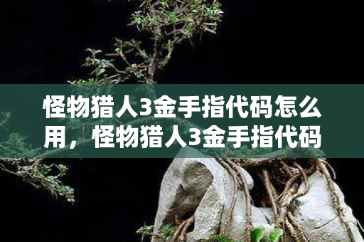 怪物猎人3金手指代码怎么用，怪物猎人3金手指代码，解锁无限可能的冒险之旅
