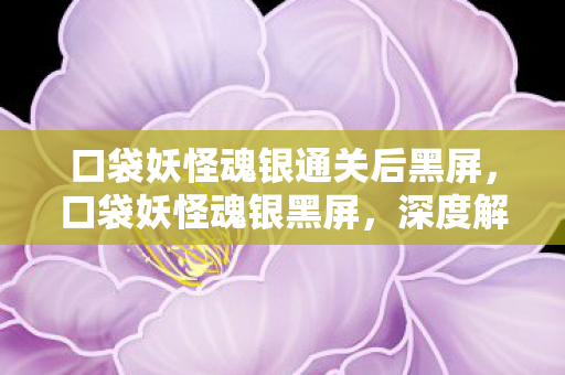 口袋妖怪魂银通关后黑屏，口袋妖怪魂银黑屏，深度解析与解决方案