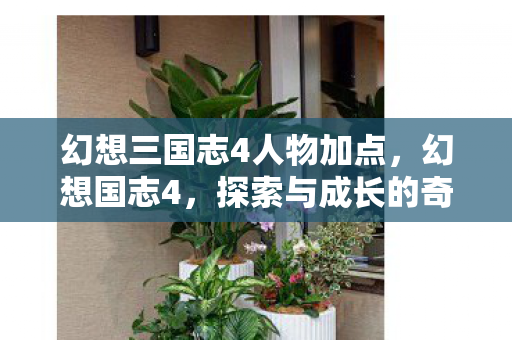 幻想三国志4人物加点，幻想国志4，探索与成长的奇妙之旅
