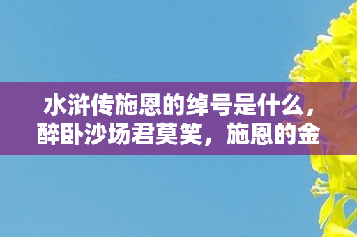 水浒传施恩的绰号是什么，醉卧沙场君莫笑，施恩的金眼彪绰号探析