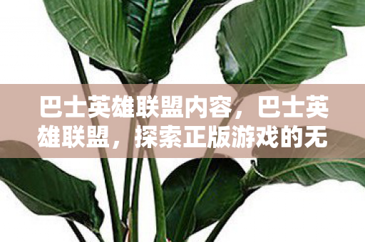 巴士英雄联盟内容，巴士英雄联盟，探索正版游戏的无限可能