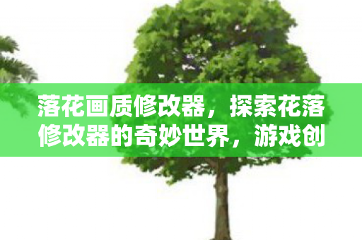 落花画质修改器，探索花落修改器的奇妙世界，游戏创意的无限可能