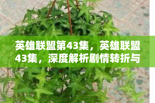 英雄联盟第43集，英雄联盟43集，深度解析剧情转折与角色成长