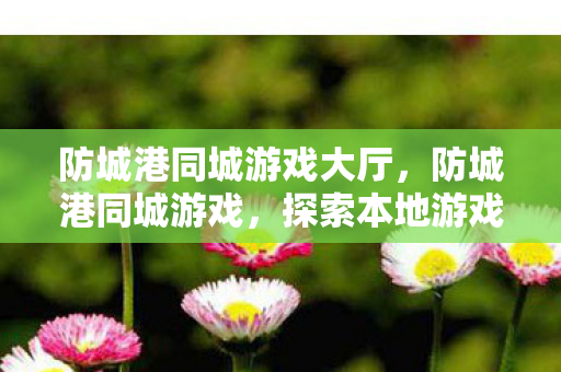 防城港同城游戏大厅，防城港同城游戏，探索本地游戏文化的魅力