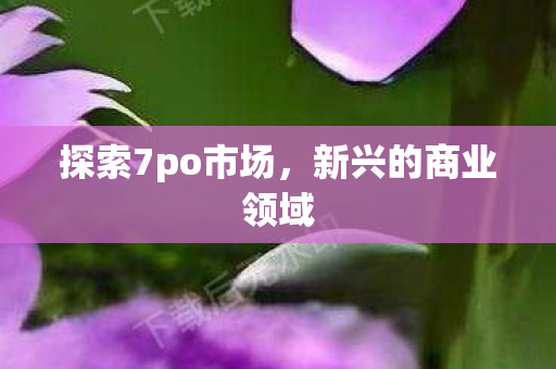探索7po市场，新兴的商业领域