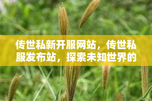 传世私新开服网站，传世私服发布站，探索未知世界的奇妙之旅