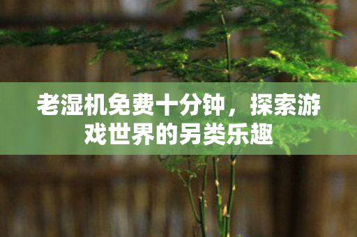 老湿机免费十分钟，探索游戏世界的另类乐趣