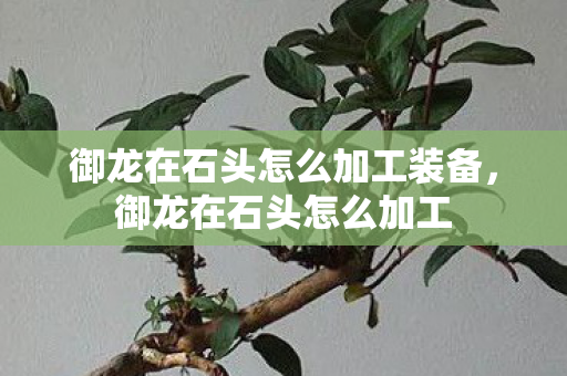 御龙在石头怎么加工装备，御龙在石头怎么加工