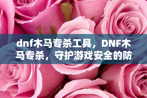 dnf木马专杀工具，DNF木马专杀，守护游戏安全的防线