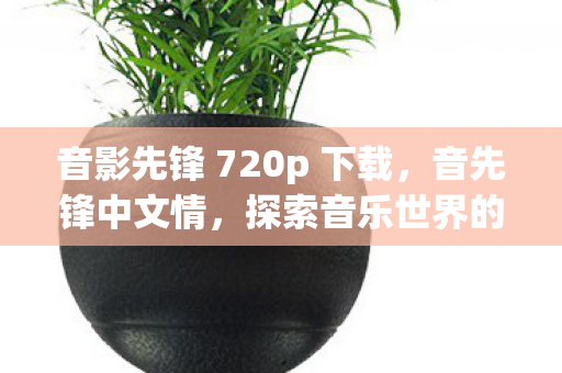 音影先锋 720p 下载，音先锋中文情，探索音乐世界的无限可能