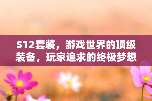 S12套装，游戏世界的顶级装备，玩家追求的终极梦想