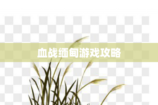 血战缅甸游戏攻略