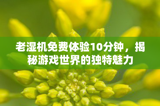 老湿机免费体验10分钟，揭秘游戏世界的独特魅力